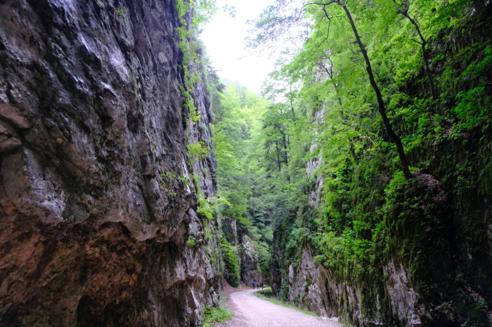Prăpăstiile Zărneștiului